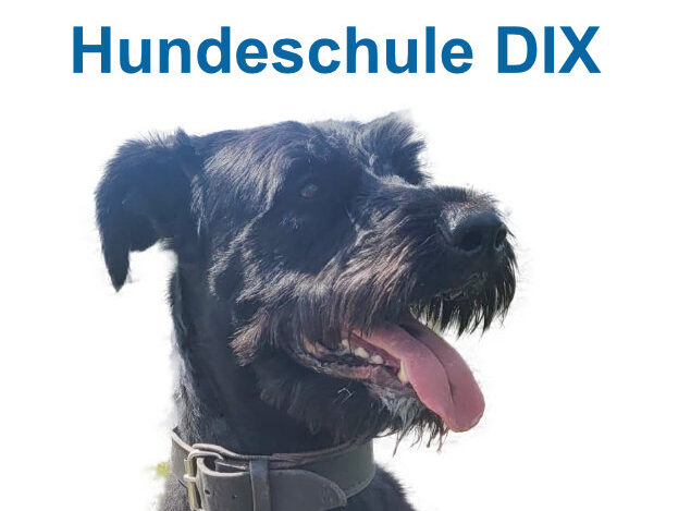 Hundeschule Dix